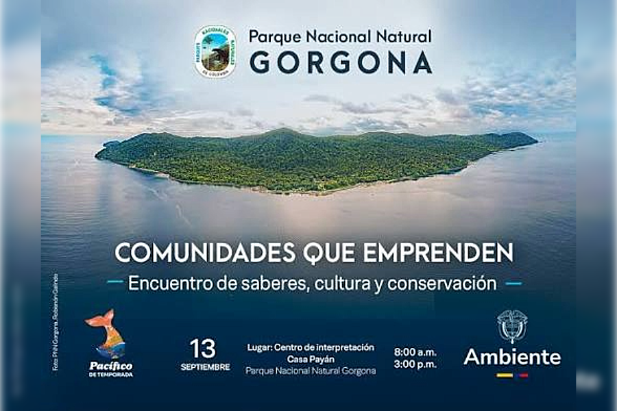 Encuentro de saberes en Gorgona se proyecta como una oportunidad alrededor del agua, la biodiversidad y las comunidades. ¡VER MÁS!