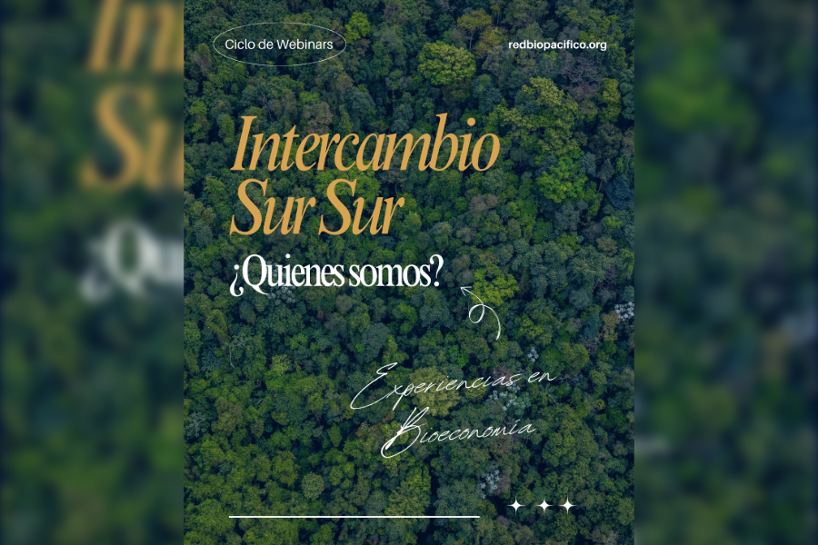 Intercambio Sur-Sur entre organizaciones del Pacífico colombiano y del estado de Pará, Brasil. Experiencias, intereses comunes y colaboración